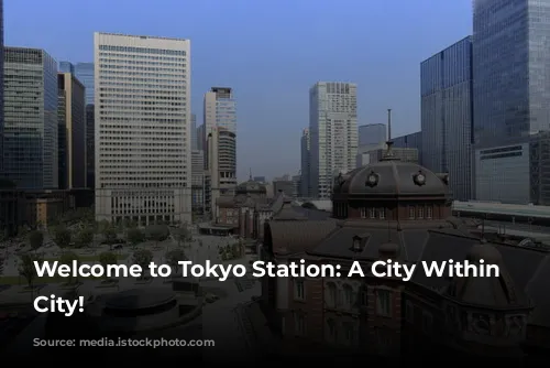 Welcome to Tokyo Station: A City Within a City!