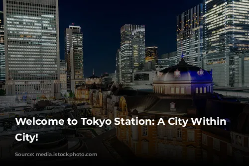 Welcome to Tokyo Station: A City Within a City!