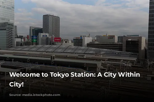 Welcome to Tokyo Station: A City Within a City!