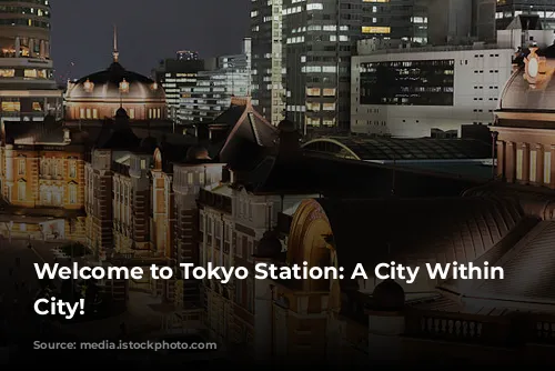 Welcome to Tokyo Station: A City Within a City!