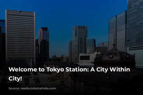 Welcome to Tokyo Station: A City Within a City!