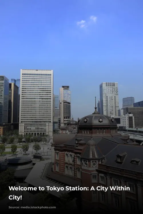 Welcome to Tokyo Station: A City Within a City!