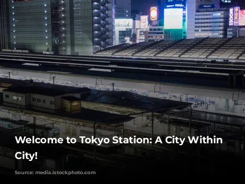 Welcome to Tokyo Station: A City Within a City!