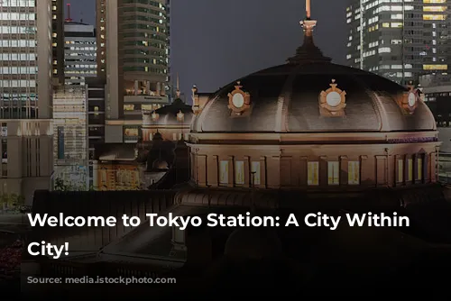 Welcome to Tokyo Station: A City Within a City!