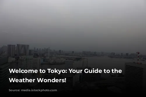 Welcome to Tokyo: Your Guide to the City's Weather Wonders!