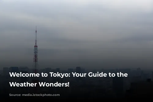 Welcome to Tokyo: Your Guide to the City's Weather Wonders!