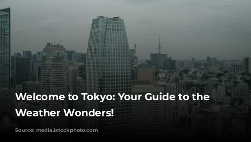 Welcome to Tokyo: Your Guide to the City's Weather Wonders!