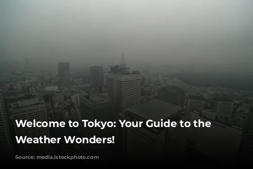 Welcome to Tokyo: Your Guide to the City's Weather Wonders!