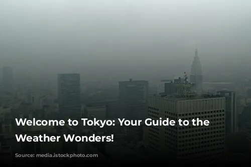 Welcome to Tokyo: Your Guide to the City's Weather Wonders!