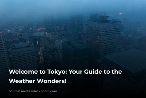 Welcome to Tokyo: Your Guide to the City's Weather Wonders!