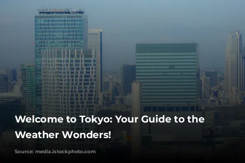 Welcome to Tokyo: Your Guide to the City's Weather Wonders!