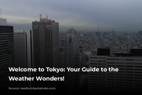 Welcome to Tokyo: Your Guide to the City's Weather Wonders!