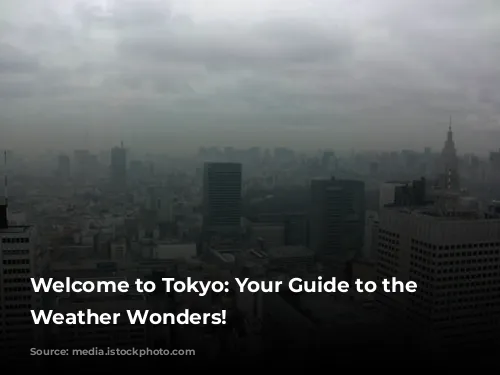 Welcome to Tokyo: Your Guide to the City's Weather Wonders!