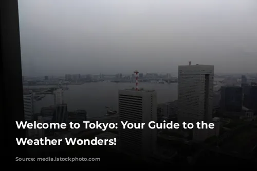 Welcome to Tokyo: Your Guide to the City's Weather Wonders!