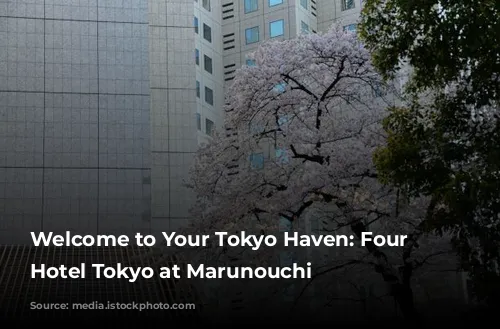 Welcome to Your Tokyo Haven: Four Seasons Hotel Tokyo at Marunouchi