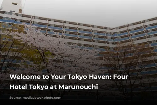 Welcome to Your Tokyo Haven: Four Seasons Hotel Tokyo at Marunouchi