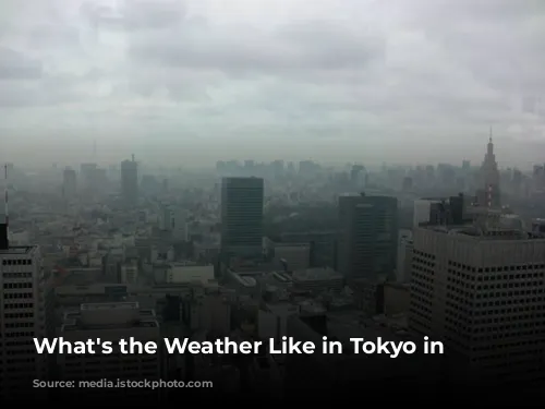 What's the Weather Like in Tokyo in January?