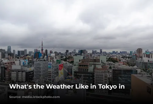 What's the Weather Like in Tokyo in January?