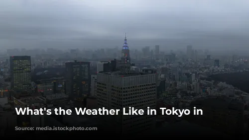 What's the Weather Like in Tokyo in January?