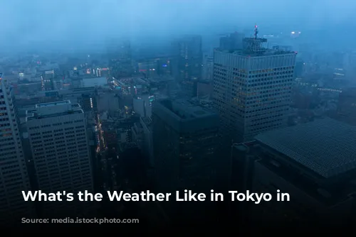 What's the Weather Like in Tokyo in January?