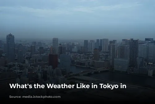 What's the Weather Like in Tokyo in January?