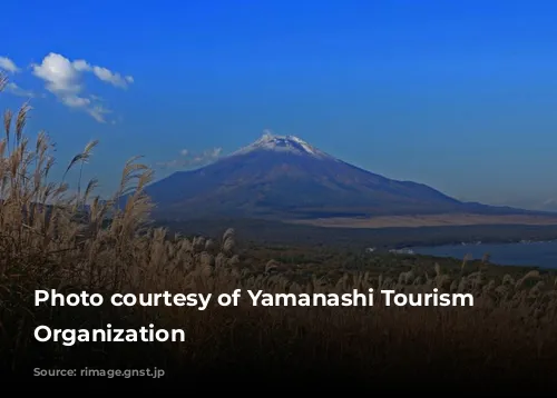 Photo courtesy of Yamanashi Tourism Promotion Organization