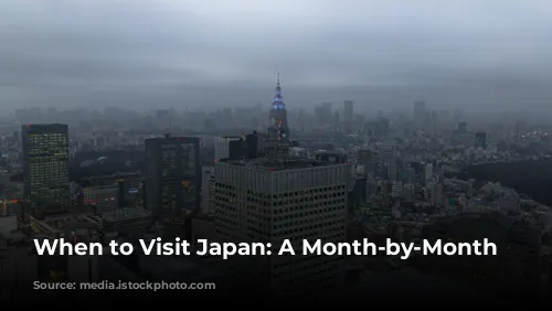 When to Visit Japan: A Month-by-Month Guide