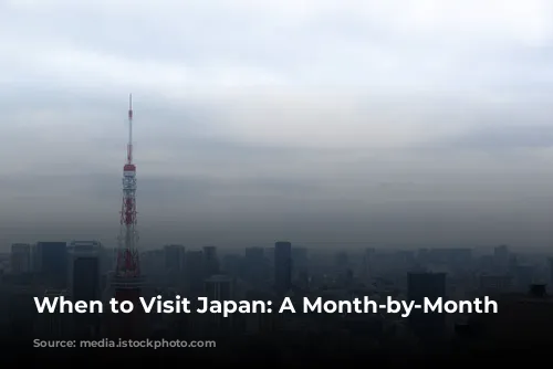 When to Visit Japan: A Month-by-Month Guide