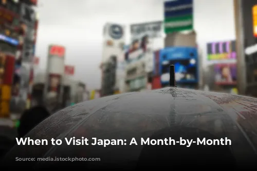 When to Visit Japan: A Month-by-Month Guide