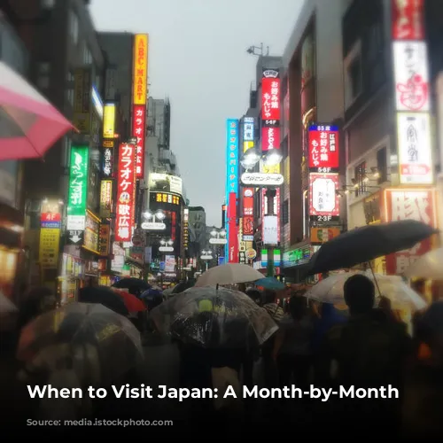 When to Visit Japan: A Month-by-Month Guide