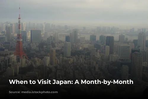 When to Visit Japan: A Month-by-Month Guide