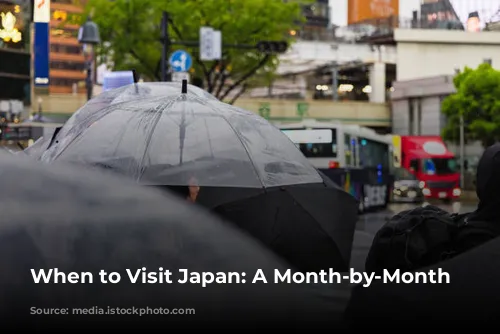 When to Visit Japan: A Month-by-Month Guide