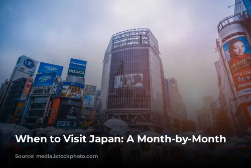 When to Visit Japan: A Month-by-Month Guide