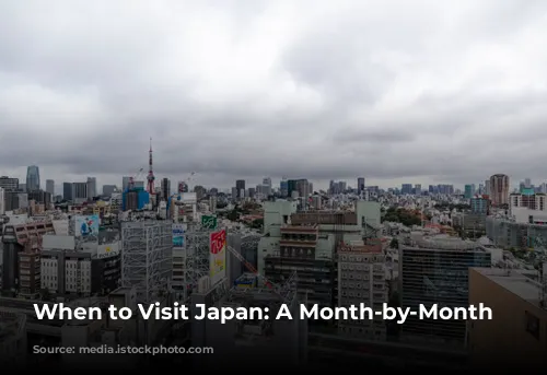 When to Visit Japan: A Month-by-Month Guide