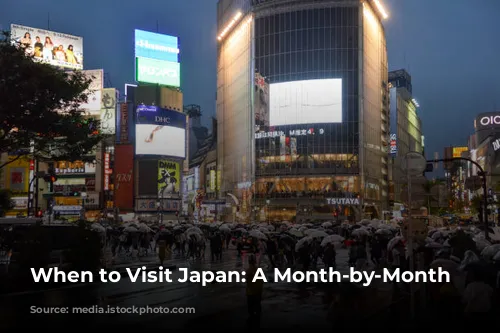 When to Visit Japan: A Month-by-Month Guide