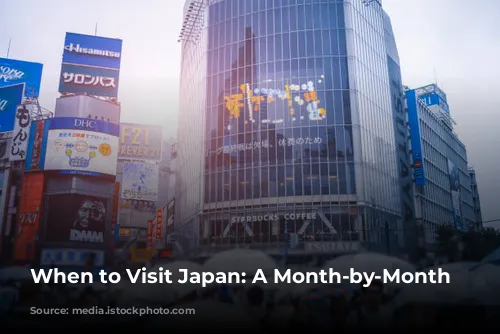 When to Visit Japan: A Month-by-Month Guide