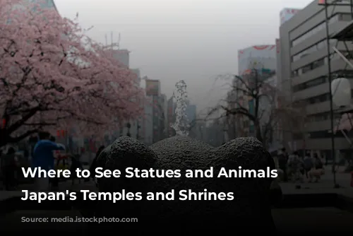 Where to See Statues and Animals in Japan's Temples and Shrines