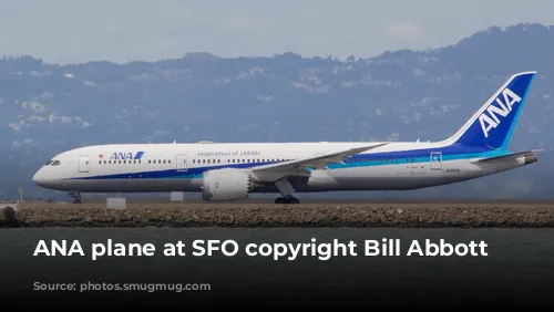 ANA plane at SFO copyright Bill Abbott