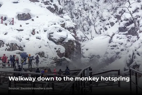 Walkway down to the monkey hotspring