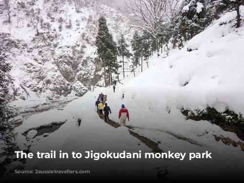 The trail in to Jigokudani monkey park