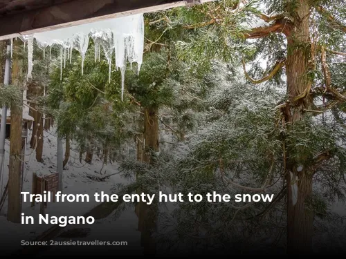 Trail from the enty hut to the snow monkeys in Nagano