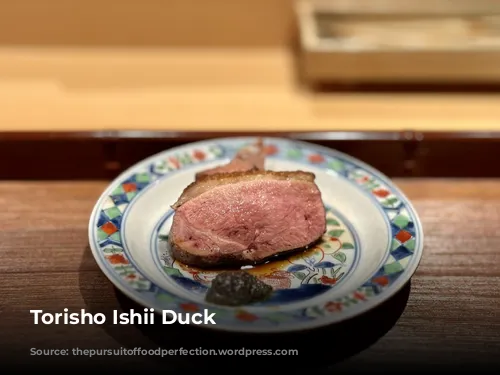 Torisho Ishii Duck