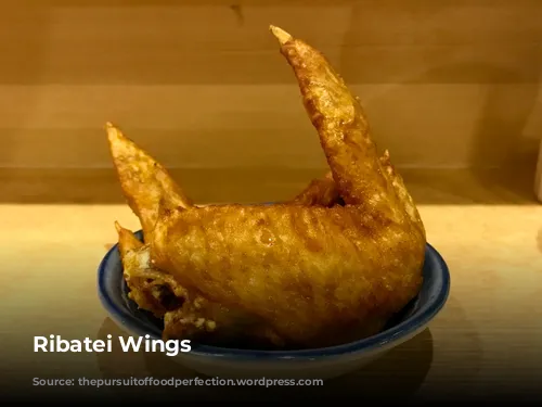 Ribatei Wings