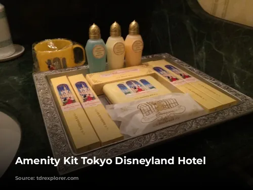 Amenity Kit Tokyo Disneyland Hotel