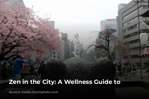 Zen in the City: A Wellness Guide to Tokyo