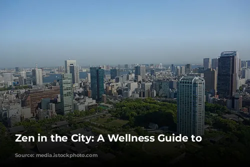 Zen in the City: A Wellness Guide to Tokyo