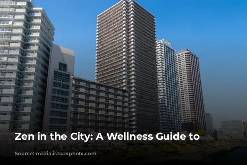 Zen in the City: A Wellness Guide to Tokyo