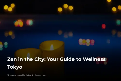 Zen in the City: Your Guide to Wellness in Tokyo