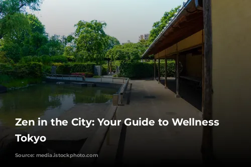 Zen in the City: Your Guide to Wellness in Tokyo