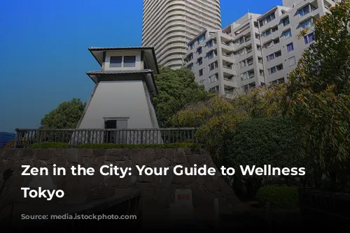 Zen in the City: Your Guide to Wellness in Tokyo